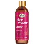 Shampoing sans sulfate à l'eau de riz Difeel