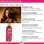 Shampoing sans sulfate à l'eau de riz Difeel