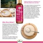 Shampoing sans sulfate à l'eau de riz Difeel